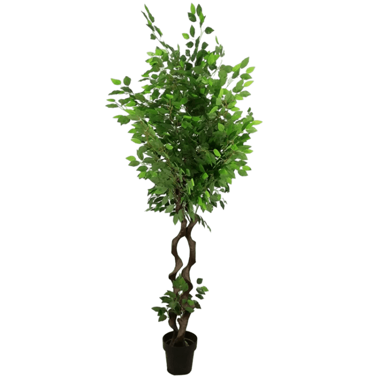 180cm artificial ficus tree
