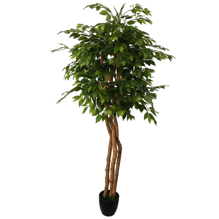 180cm artificial ficus tree