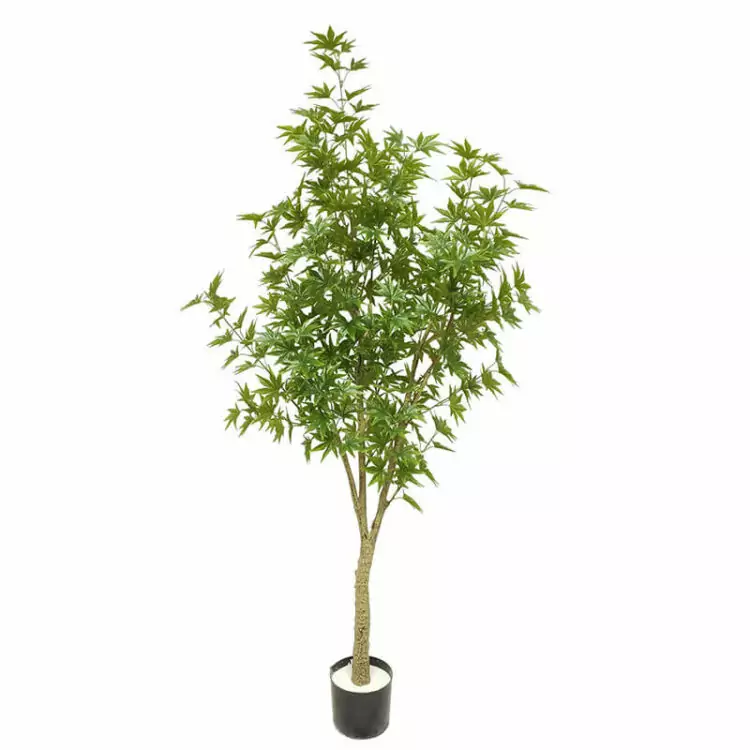 60cm 90cm 150cm 180cm Green Japanese Maple Tree Artificial Plants - 图片 4