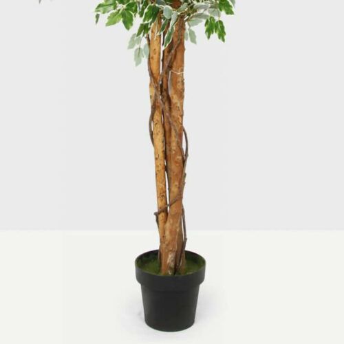 185cm Artificial Ficus Trees