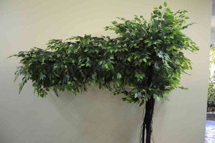 2.3m Large Artificial Ficus Tree - 图片 4