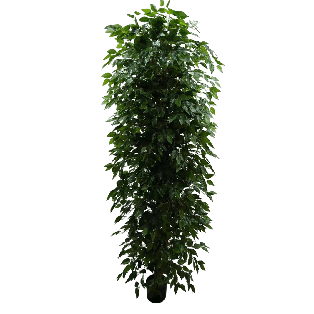 7 Ft Artificial Ficus Tree