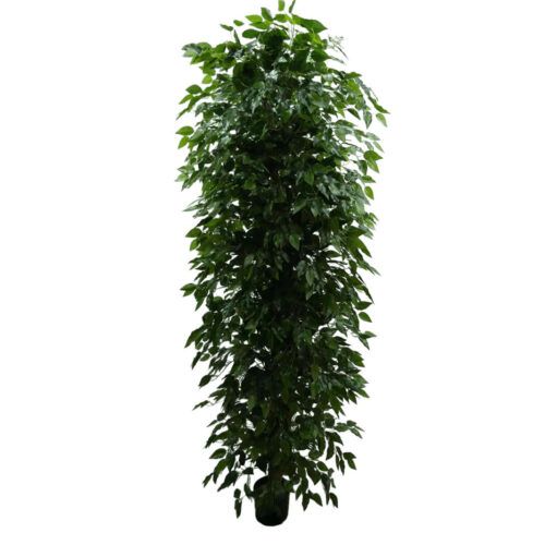 7 Ft Artificial Ficus Tree