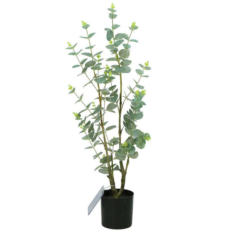 Artificial Eucalyptus Trees