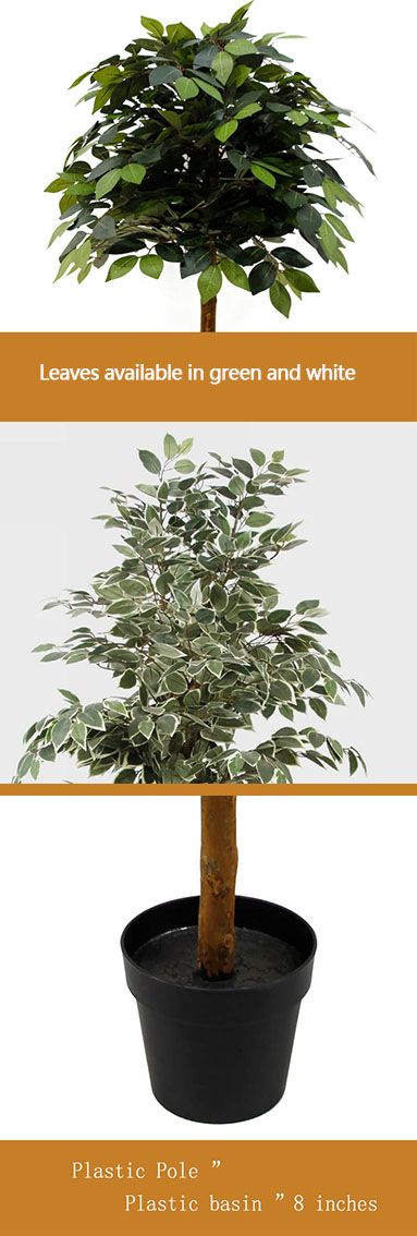 Artificial Ficus Tree