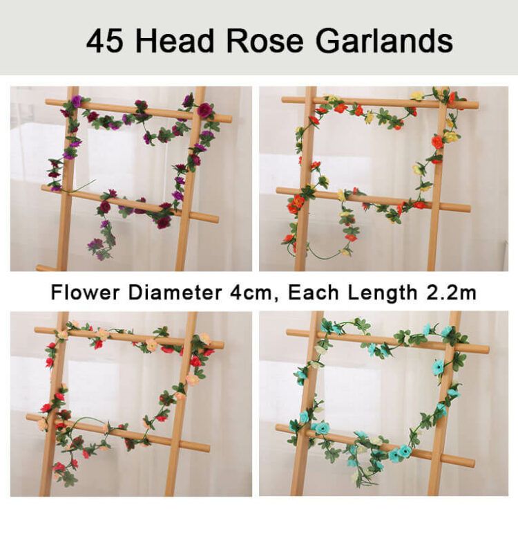 Rose Flower Vine