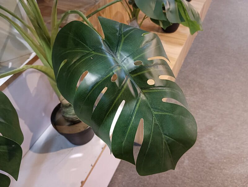 artificial monstera plant