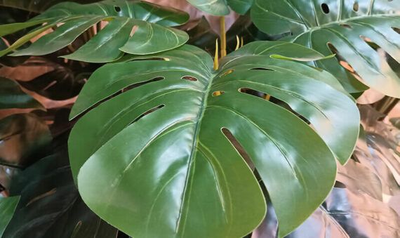 artificial monstera plant