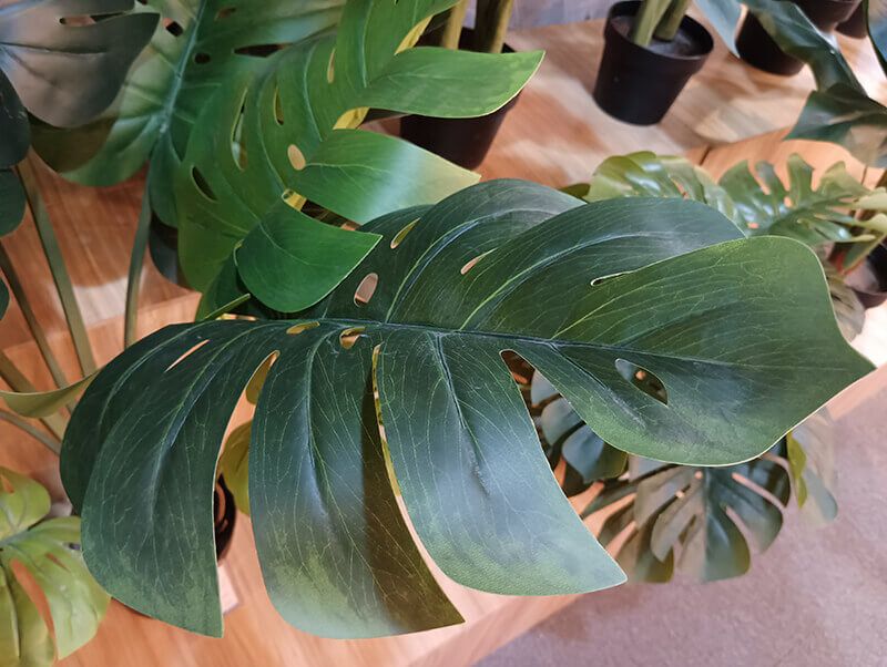 artificial monstera plant