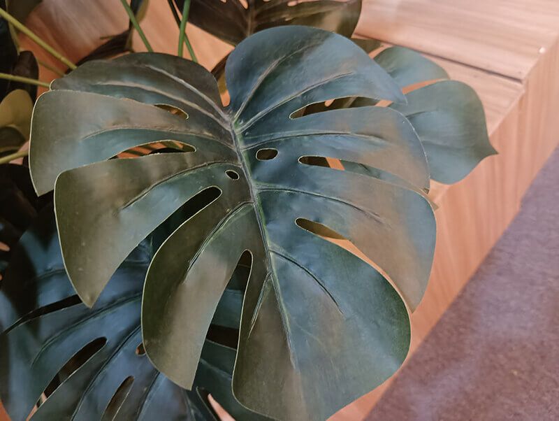 artificial monstera plant