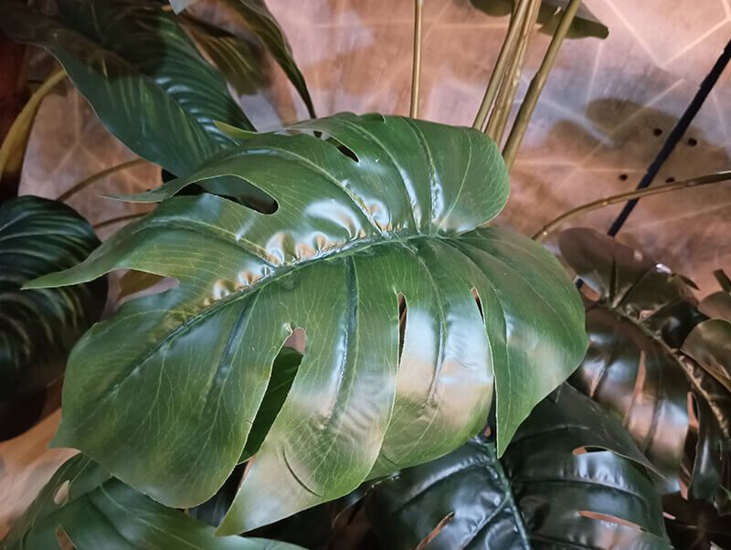 artificial monstera plant