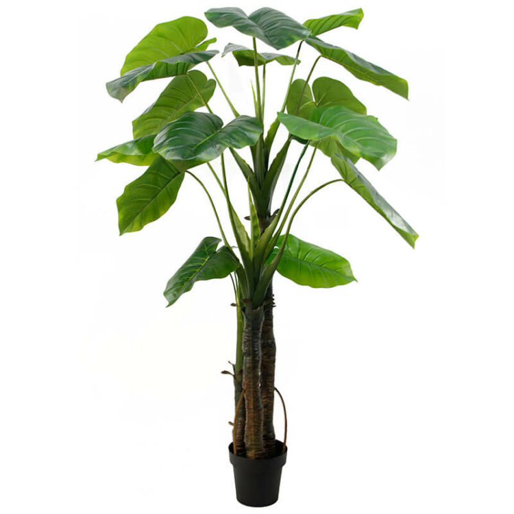 170cm Artificial Taro Plant