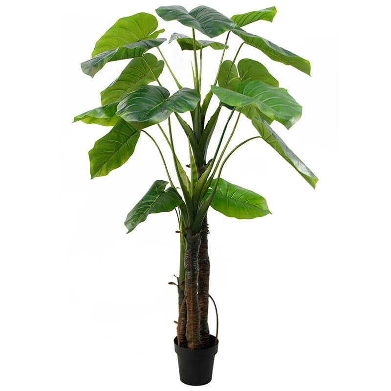 170cm Artificial Taro Plant