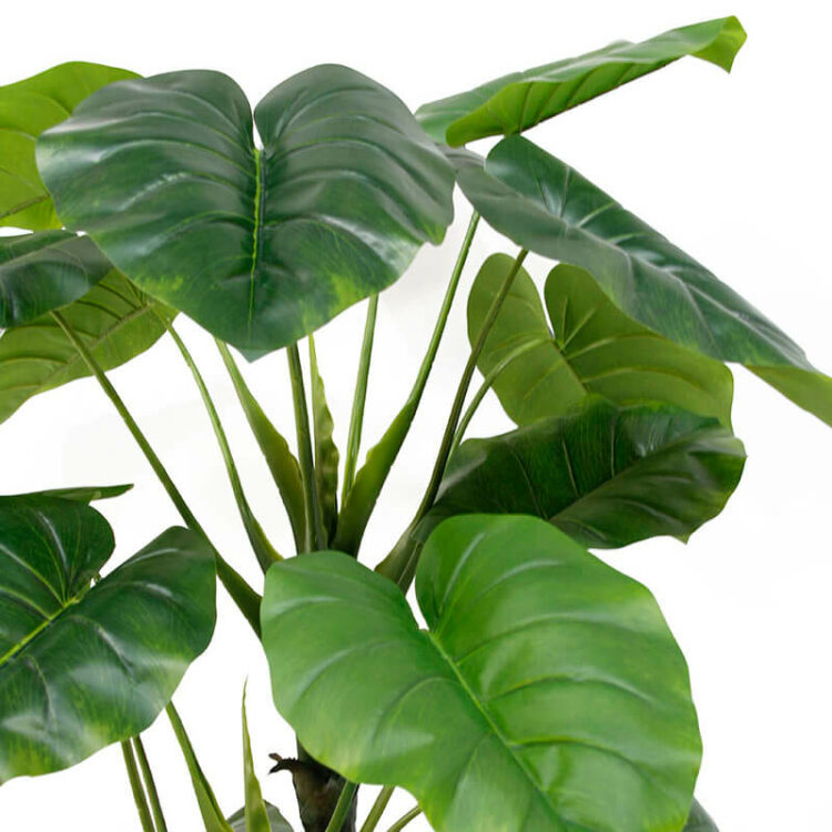 Artificial Taro Plant