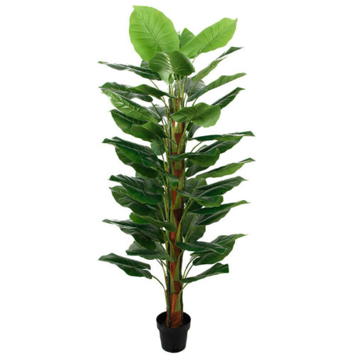 6ft Artificial Taro Tree