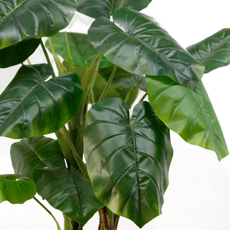 Artificial Taro Trees