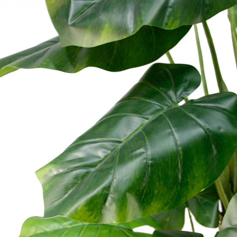 Artificial Taro Trees