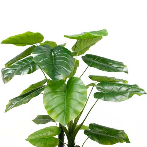 210cm Artificial Tree Faux Taro Plant