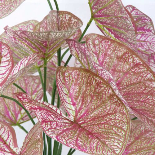 50cm Red Leaves Artificial Taro Plants