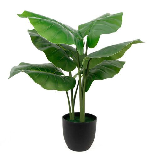 60cm Artificial Plant Taro