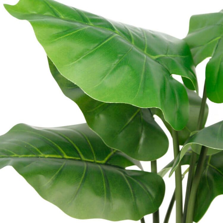 60cm Artificial Taro Plant