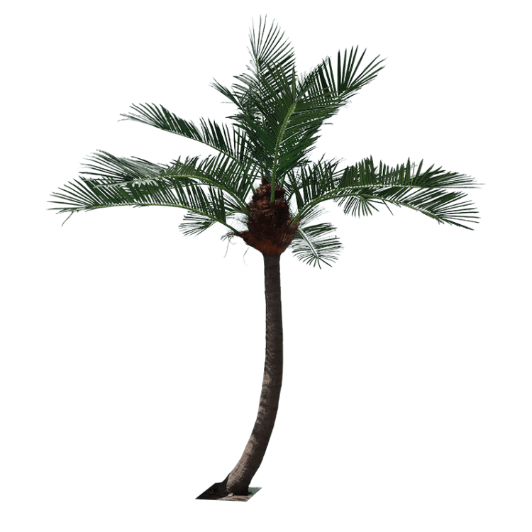6M Artificial Coconut Palm Tree High Simulation Landscape Plant outdoor