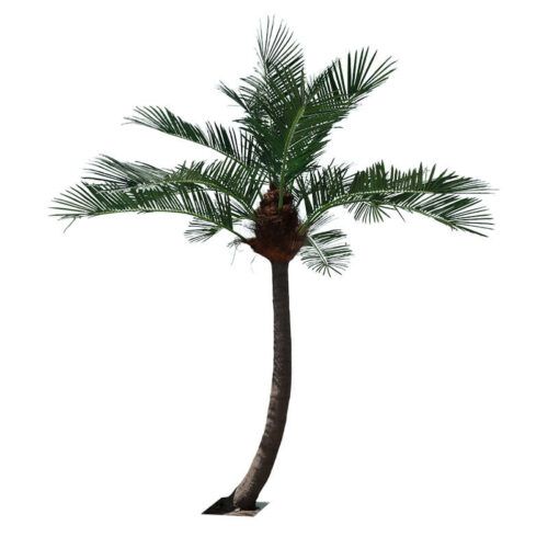 6M Artificial Coconut Palm Tree High Simulation Landscape Plant outdoor