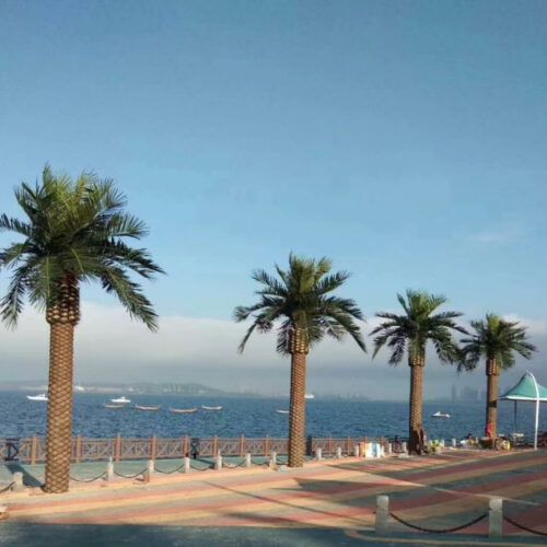 Custom 7m Artificial Seaweed trees Landscape High Simulation Plants