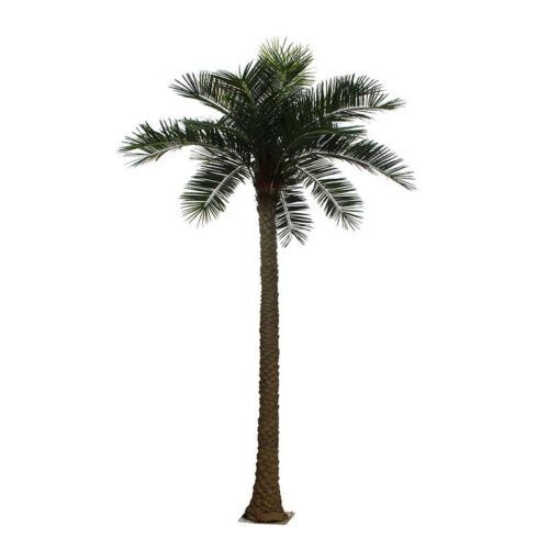 Custom High Simulation 9m big Artificial Seaweed trees Landscape Plants