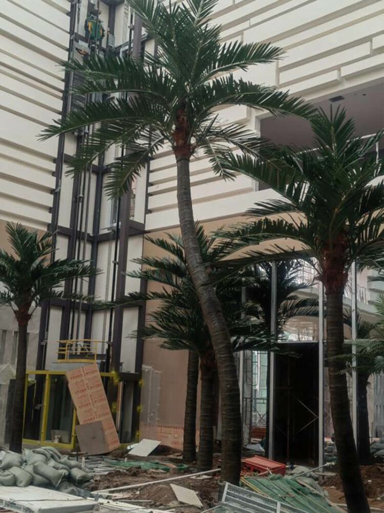 7M Artificial Coconut Palm Trees High Simulation Landscape Plant for outdoor decoration - 图片 3