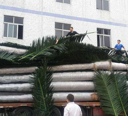 6M Artificial Coconut Palm Tree High Simulation Landscape Plant outdoor