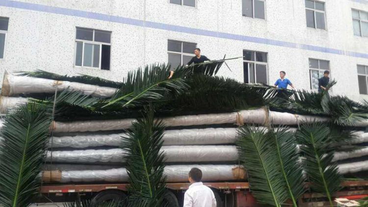 6M Artificial Coconut Palm Tree High Simulation Landscape Plant outdoor - 图片 2