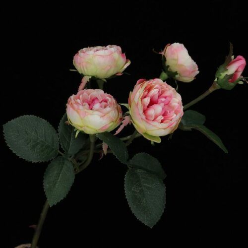 HR6933 Silk Tea Rose 5 Head Real Touch Artificial Flowers 58cm