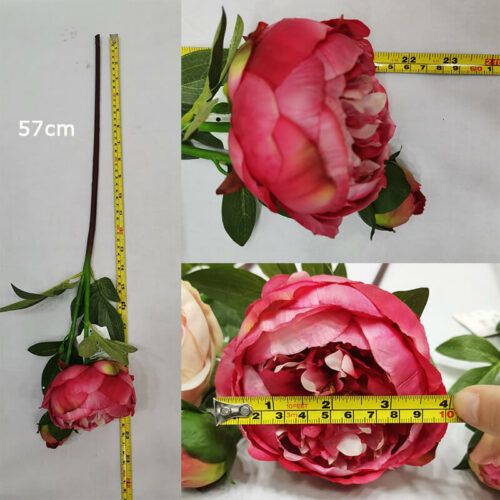 HR7219 Artificial Peony Silk Flowers 2 Head Real Touch Fake Peonies