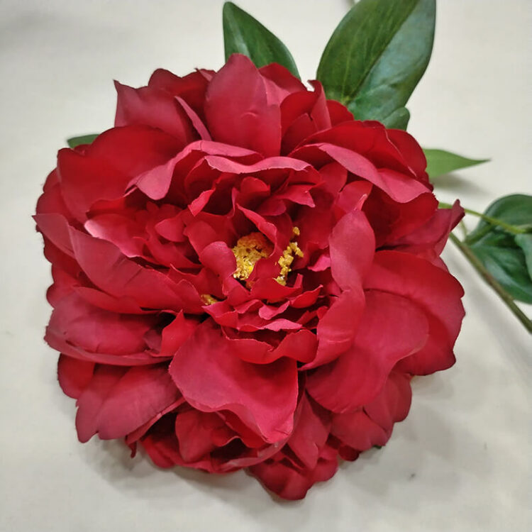 HR7402 Artificial Flowers Peonies 2 Head Real Touch Fake Silk Peony - 图片 4