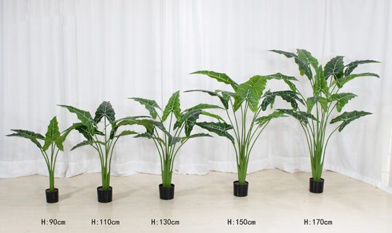 Artificial Alocasia Plant