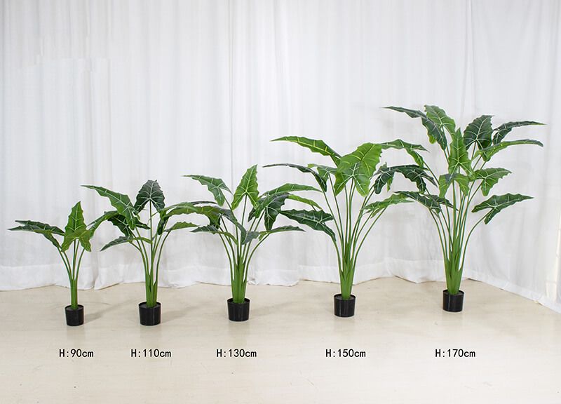 Artificial Alocasia Plant