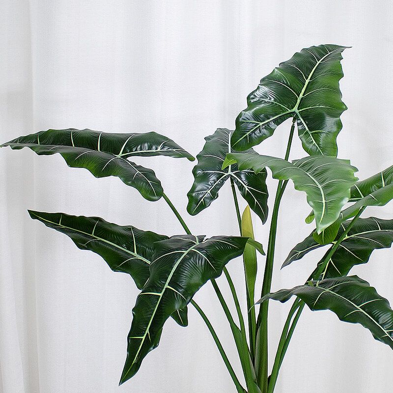 Artificial Alocasia Plants