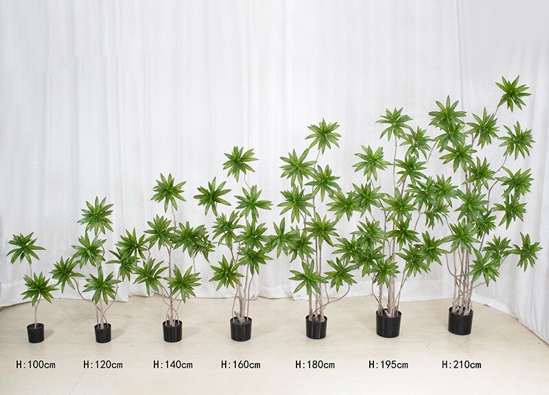 Artificial Dracaena Plant