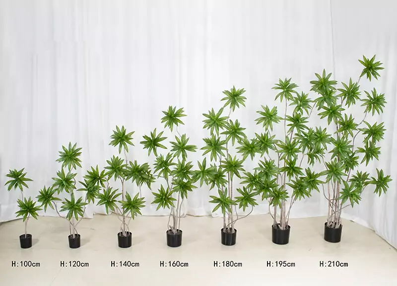 Artificial Dracaena Plant