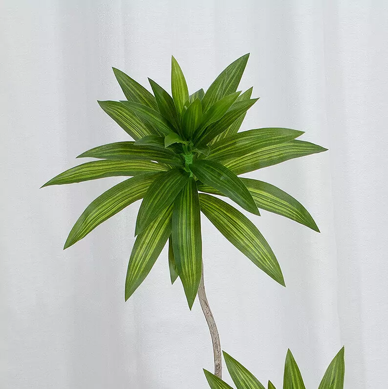 Fake Dracaena Plant