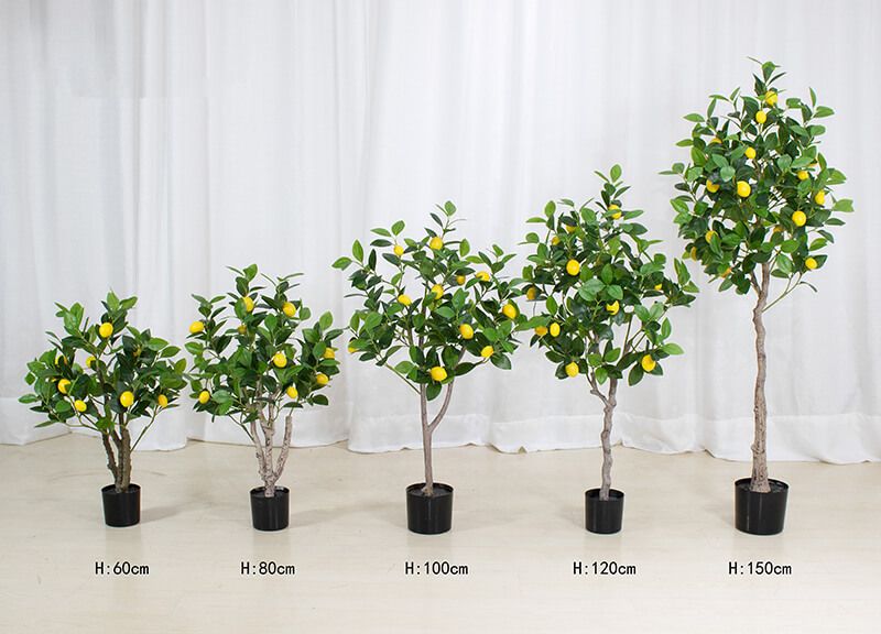 Artificial Lemon Trees