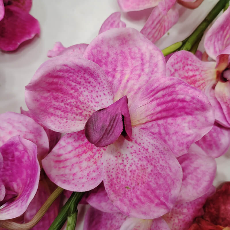 Artificial Phalaenopsis Orchids