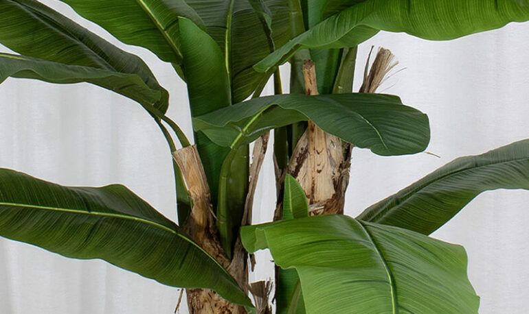 artificial banana tree