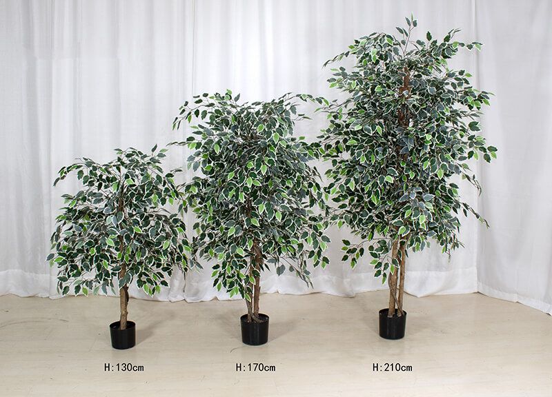 Artificial Tree Ficus