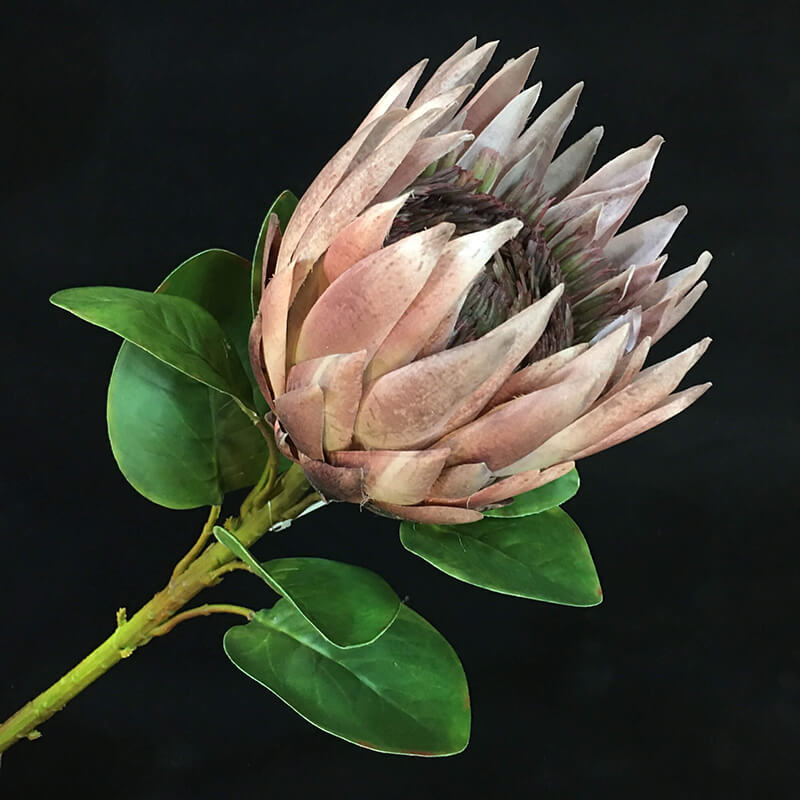 artificial protea flower