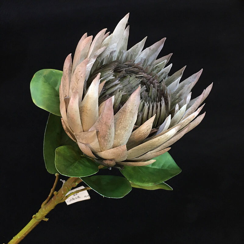 artificial protea flower