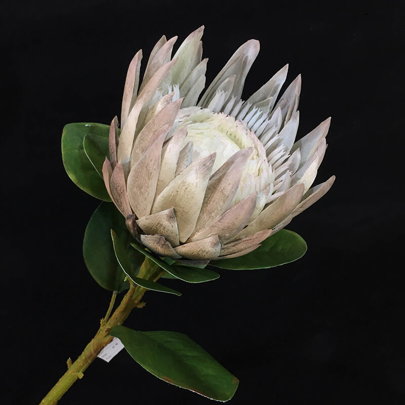 artificial protea flower