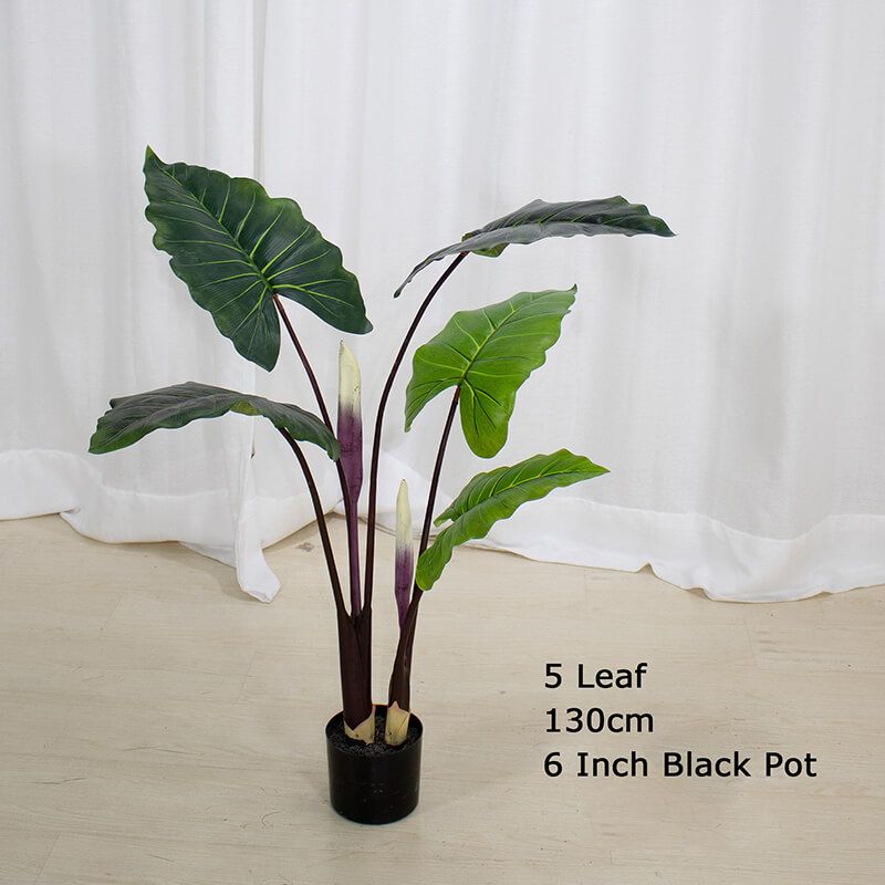 artificial taro plant