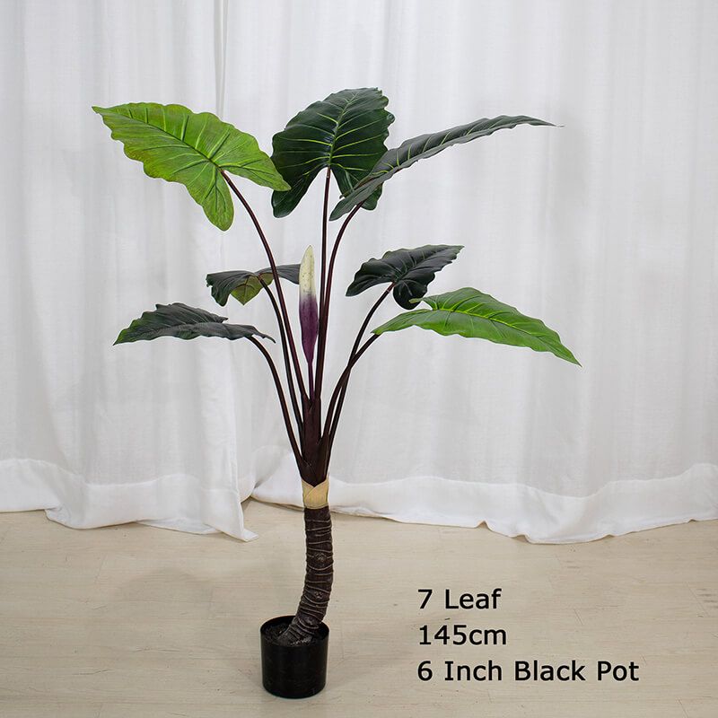 artificial taro plant